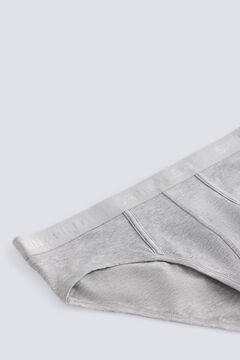 Springfield Pack 2 plain briefs