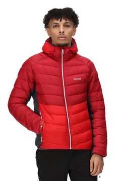 Springfield Harrock quilted jacket rouge royal