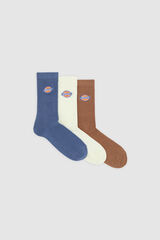 Dickies Valley socks printed