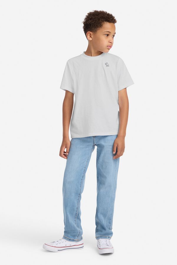 Abercrombie Kids Short-sleeved T-shirt white