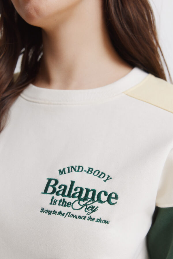 Springfield Tricolour sweatshirt brown