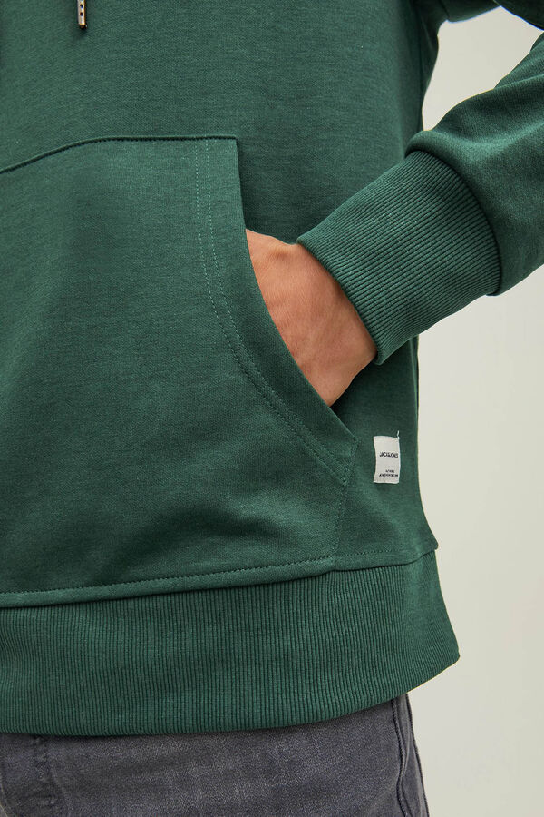 Jack & Jones Hoodie green
