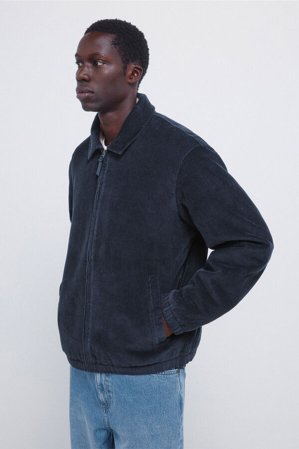 Springfield Somot jakna Plava