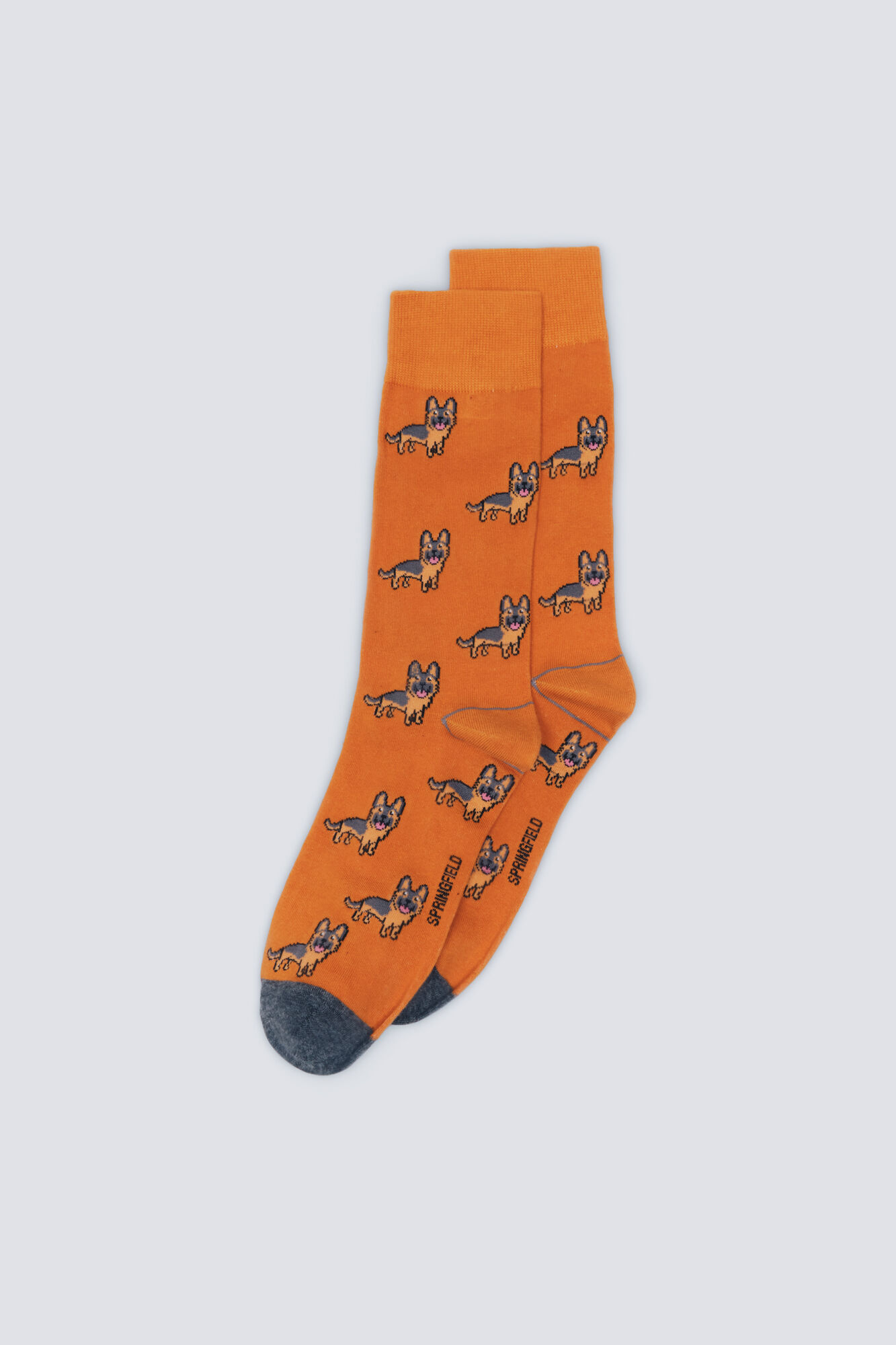 Springfield Cotton dog sock