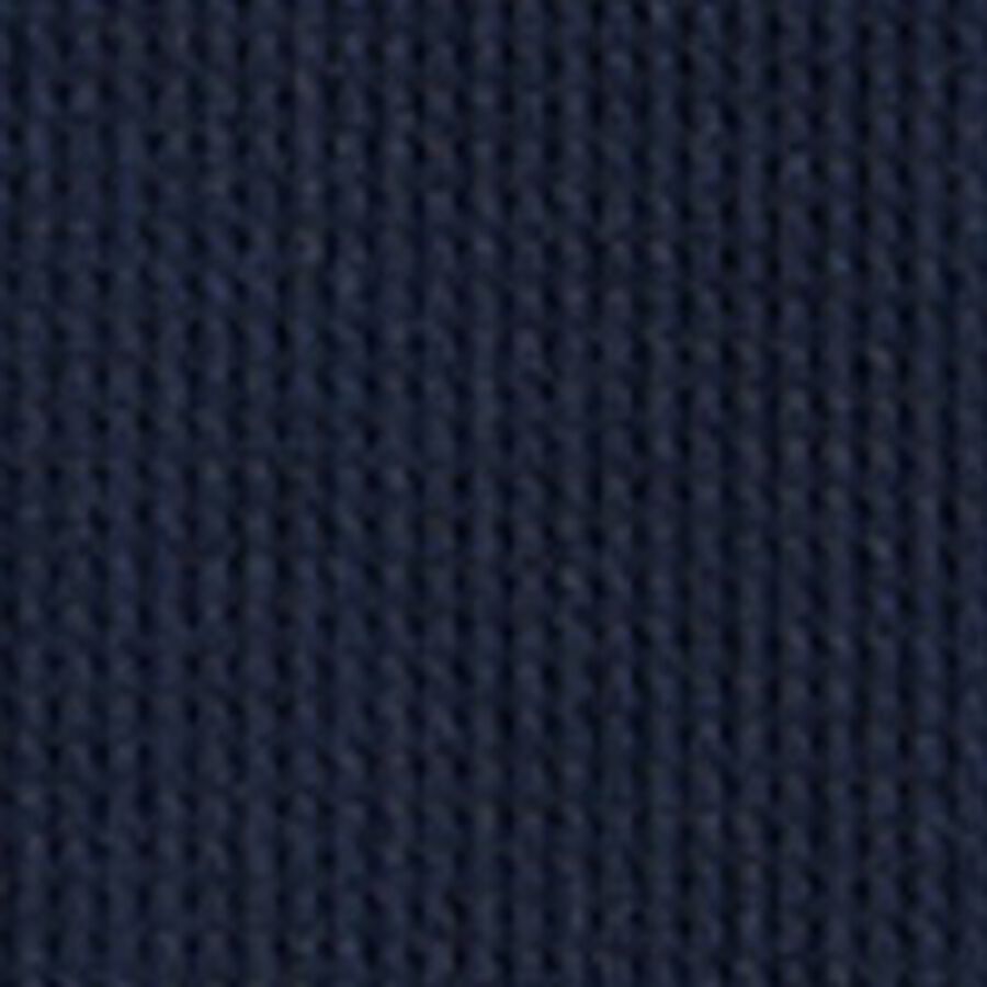 Color swatch