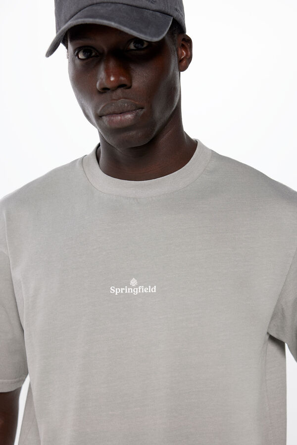 Springfield T-shirt délavé logo gray