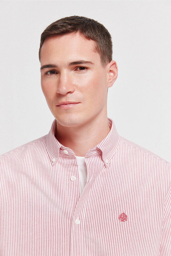 Springfield Striped oxford wrinkle free shirt burgundy
