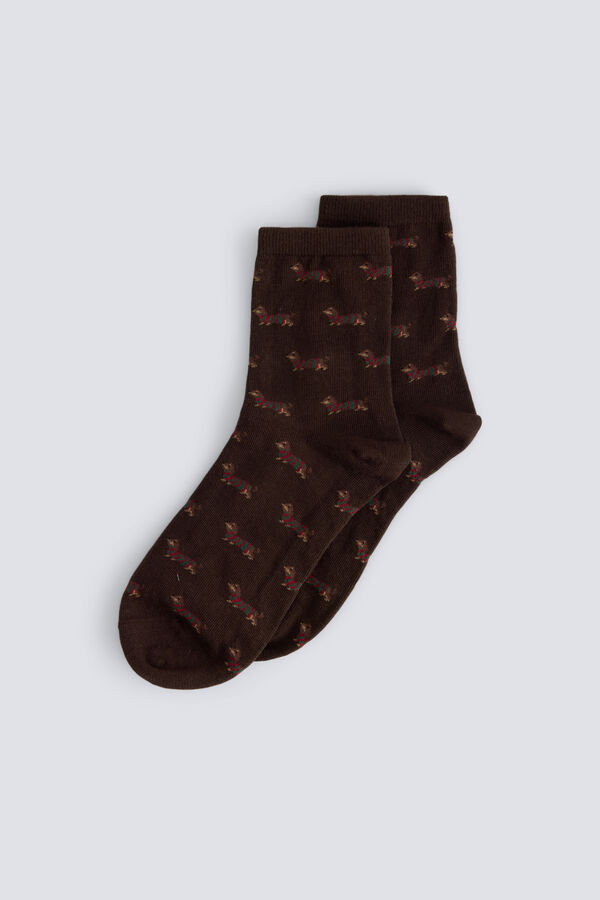 Springfield Dachshund socks brown