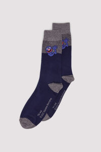 Springfield Sesame Street Positional Sock
