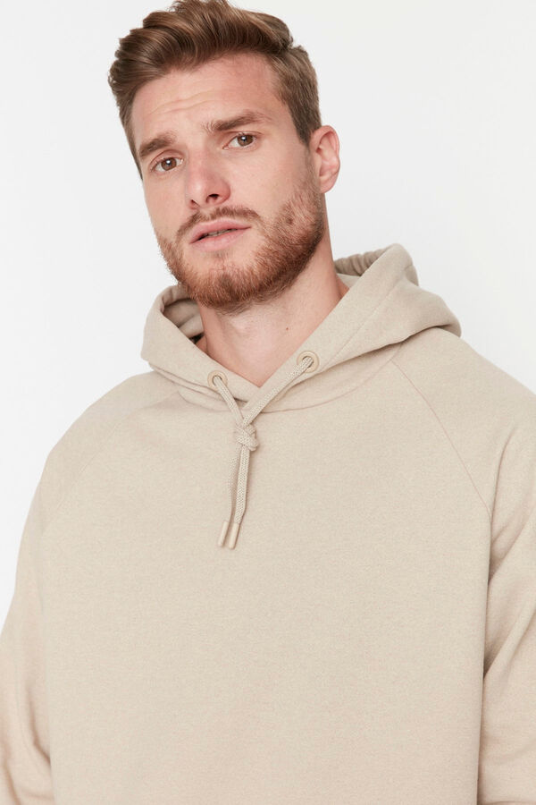 Trendyol Sudadera regular con capucha beige