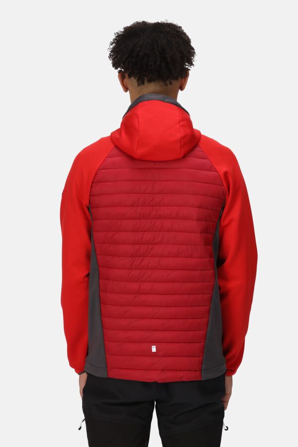 Springfield Anderson VII quilted jacket  royal red