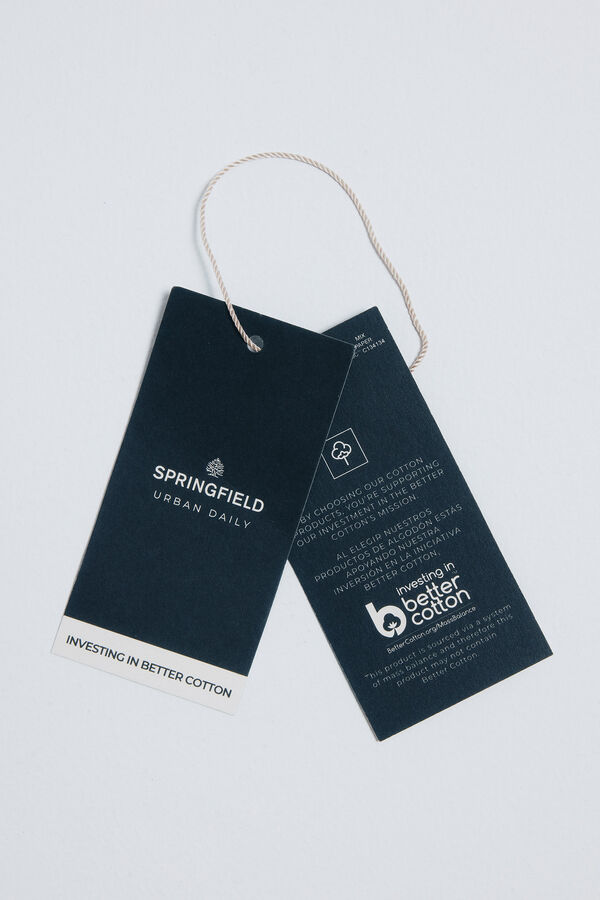 Springfield Checked poplin shirt Plava