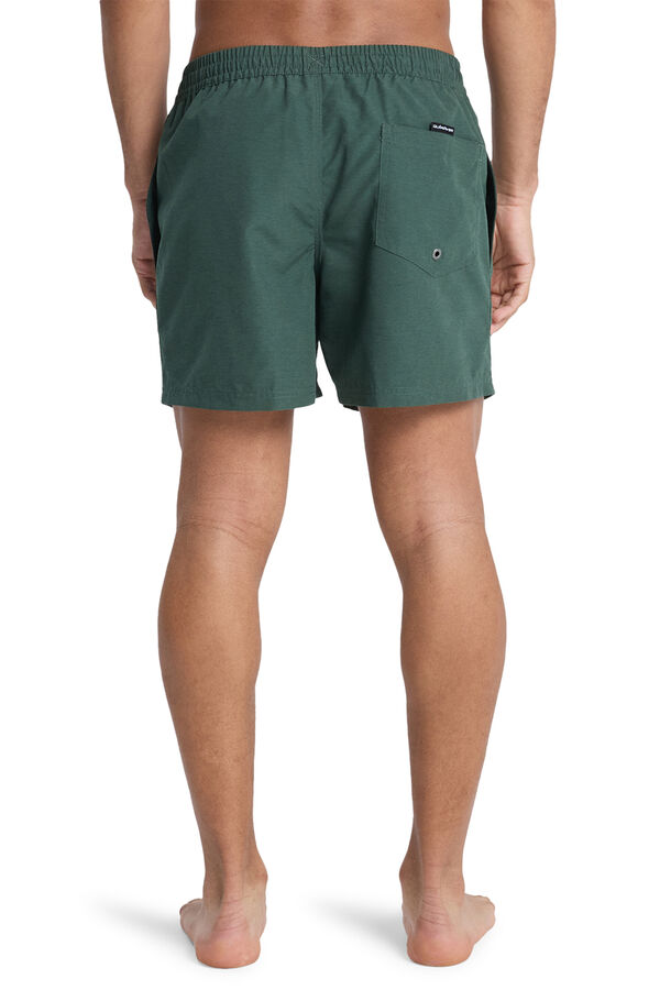 Quiksilver Logo swimwear green