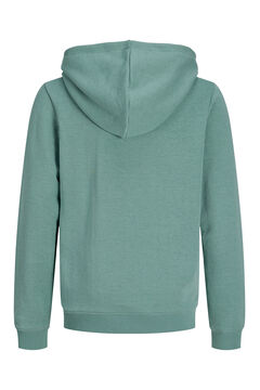 Jack & Jones Junior Sudadera con capucha