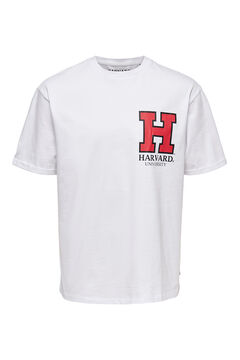 Springfield Short-sleeved Harvard T-shirt fehér