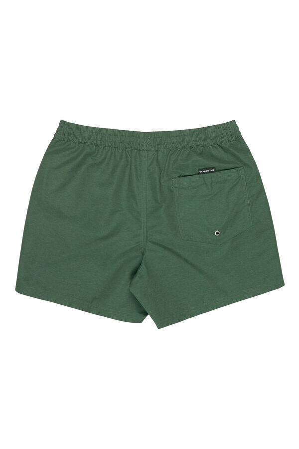 Quiksilver Logo swimwear green