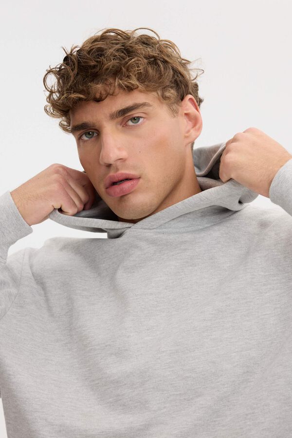 Inside Sweatshirt com capuz b&aacute;sica regular cinzento