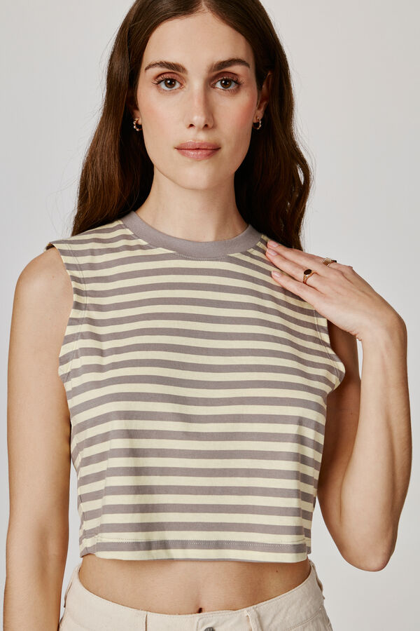 Springfield Striped cropped T-shirt  gray