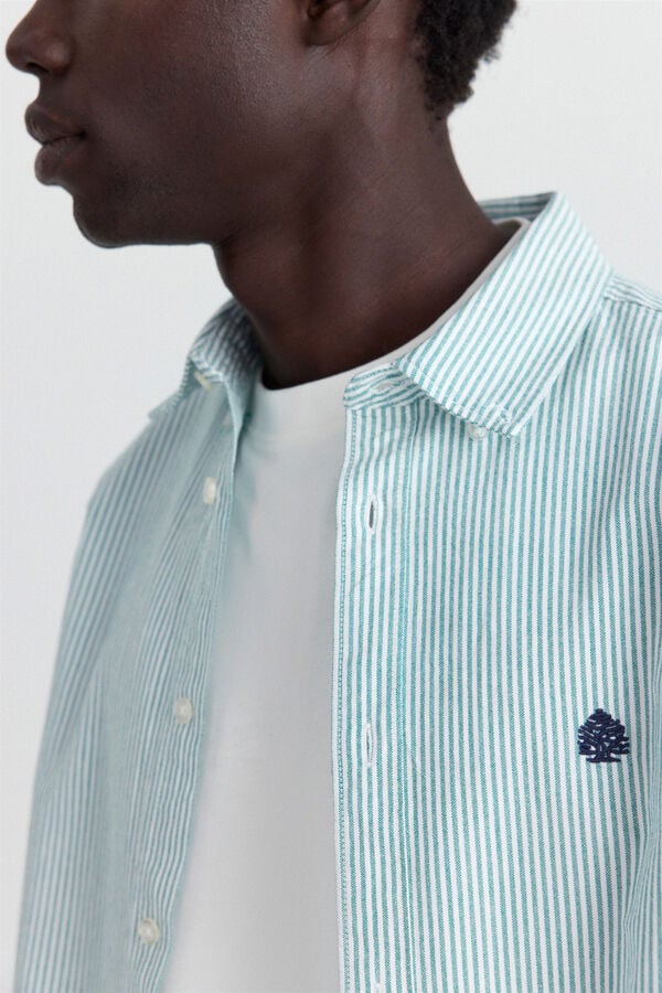 Springfield Chemise oxford &agrave; rayures vert