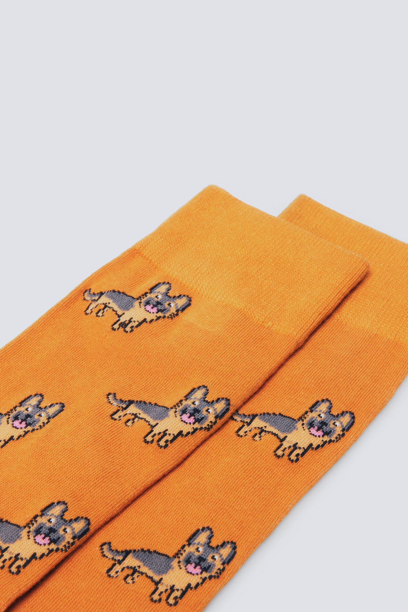 Springfield Cotton dog sock