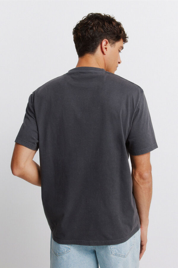 Springfield T-shirt Black Crowes Sho Nuff cinzento