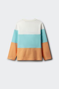 Springfield Kids Camiseta manga larga b&aacute;sica ni&ntilde;o