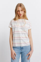 Springfield Striped short sleeve T-shirt brown