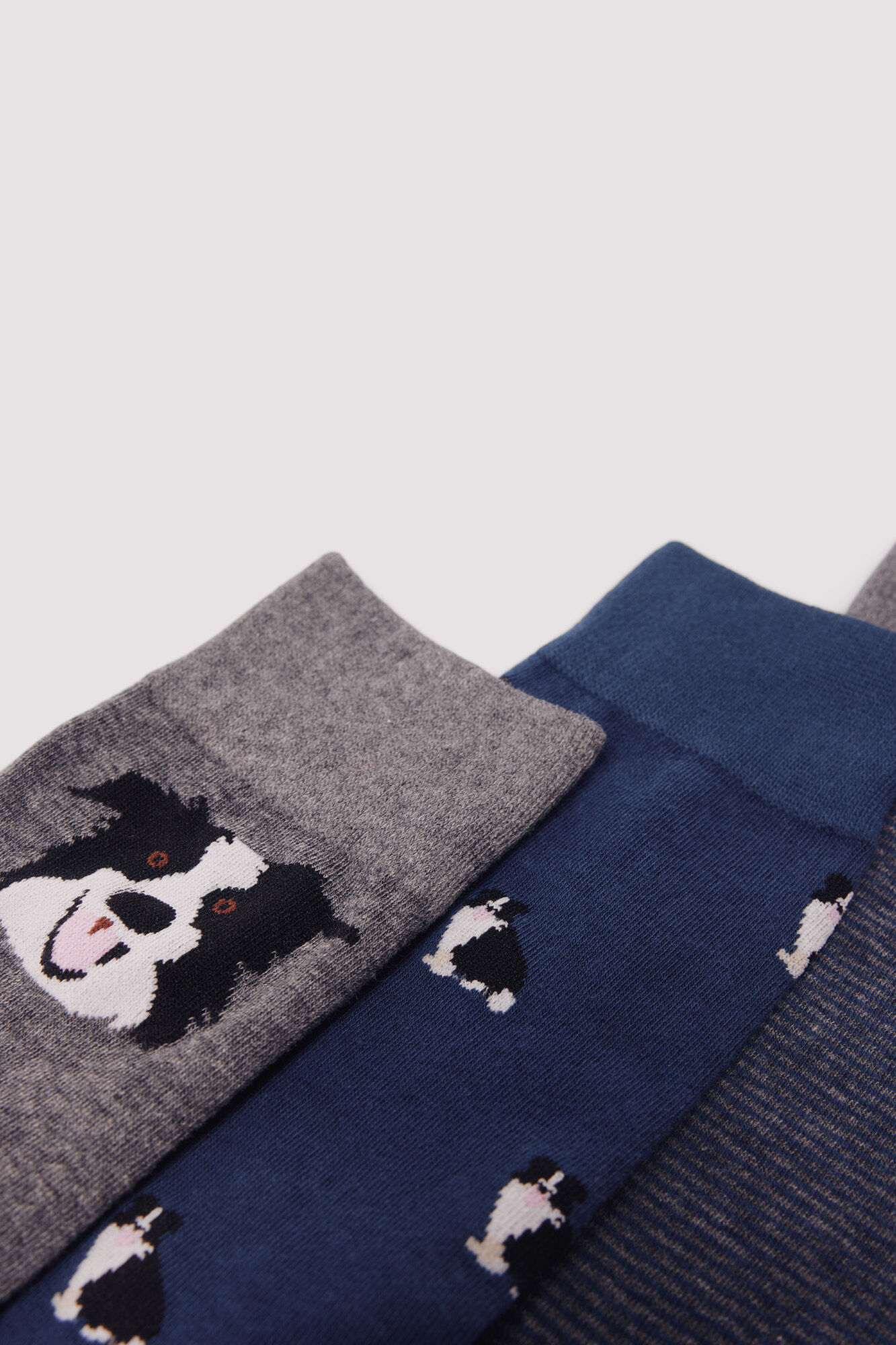 Springfield Lot 3 chaussettes coton chiens