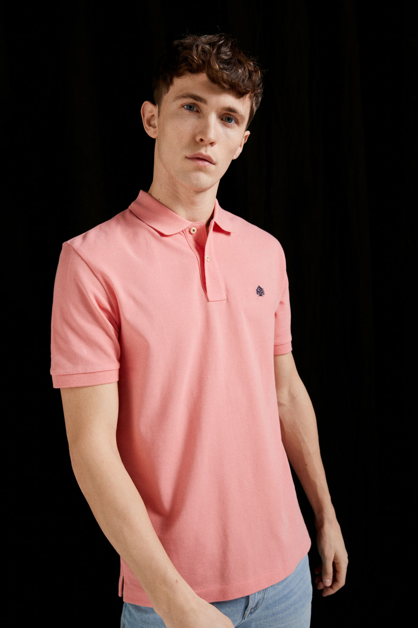 springfield polos homem