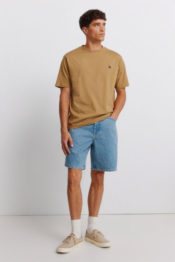Springfield Springfield logo basic T-shirt brown