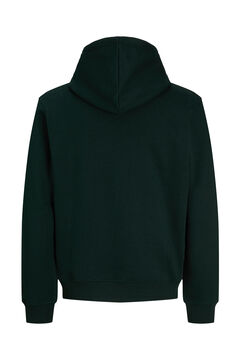 Jack & Jones PLUS Sudadera con capucha