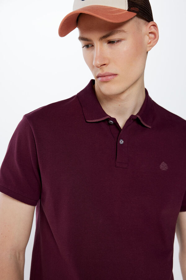 Springfield Polo majica od pikea slim kroja s kontrastima bordo