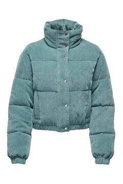 Springfield Short quilted micro-corduroy puffer jacket bleuté