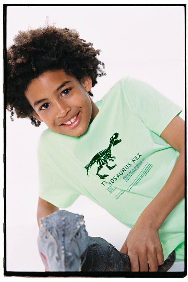 Springfield T-shirt t-rex rapaz água verde
