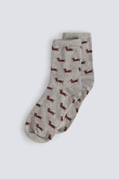 Springfield Dachshund socks
