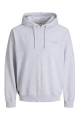 Jack & Jones Sudadera con cremallera relaxed gris