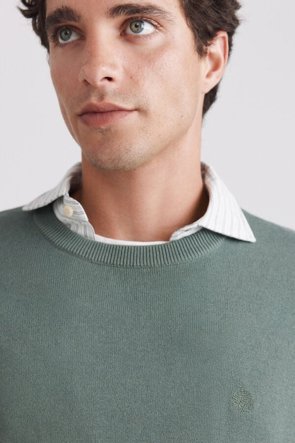 Springfield Basic round neck jumper green