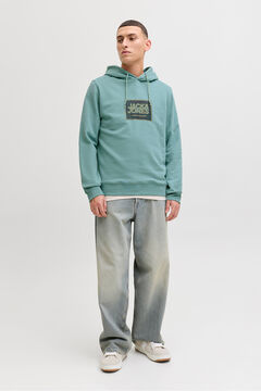 Jack & Jones Sudadera con capucha regular