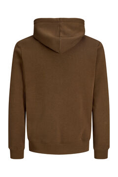 Jack & Jones PLUS Sudadera regular con capucha