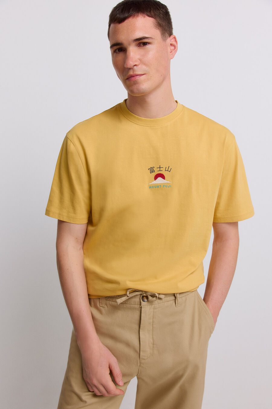 Camiseta fuji