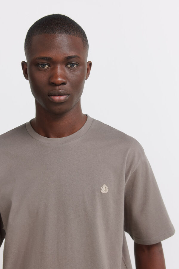 Springfield Springfield logo basic t-shirt grey