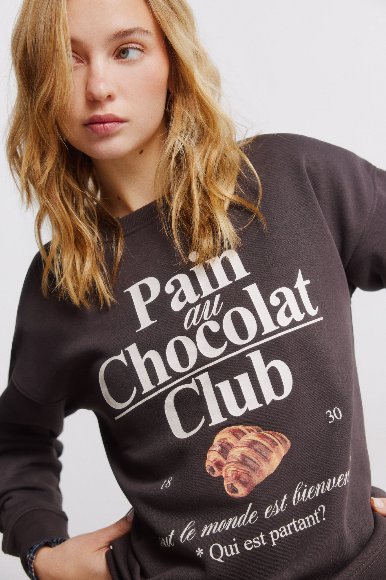 Springfield Sweatshirt Brown boheme