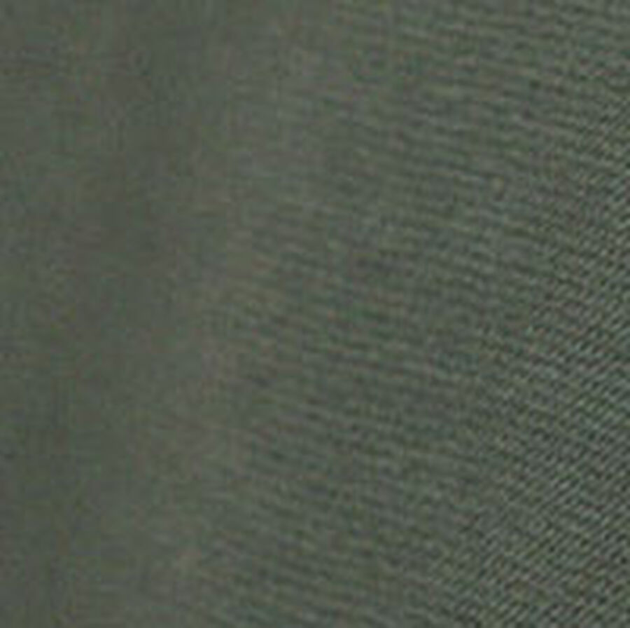 Color swatch