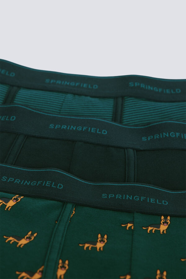 Springfield Pack of 3 boxer dogs and striped green