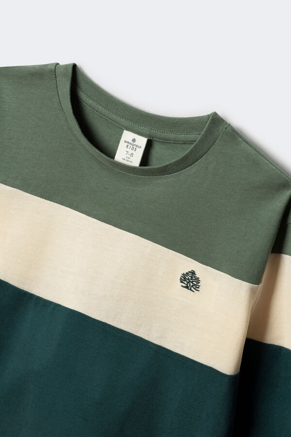 Springfield Kids Camiseta tricolor de manga comprida para menino verde