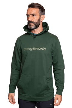 Springfield Sweatshirt Ragen verde escuro