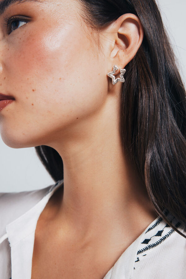 Springfield Bright star earrings grey