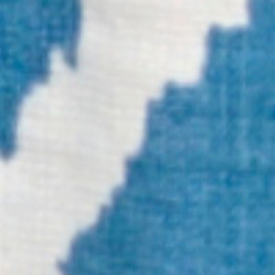 Color swatch