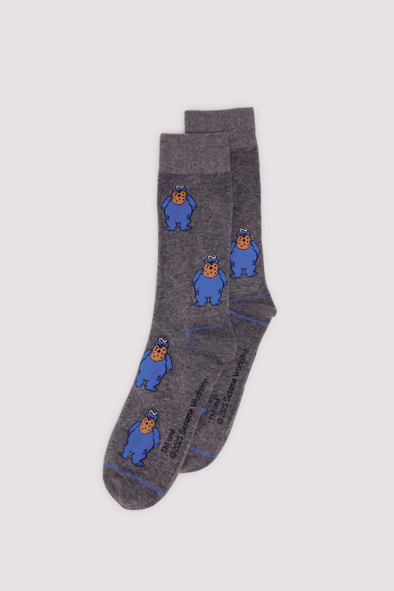 Springfield Sesame Street Sock