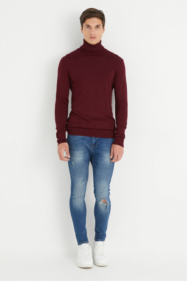 Inside Jersey B&aacute;sico Cisne rojo